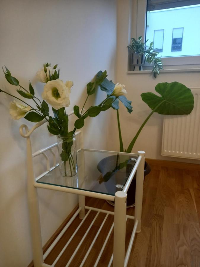 Apartmán Avenija Oaza Novi Sad Exteriér fotografie